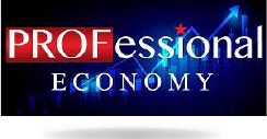Professional Economy