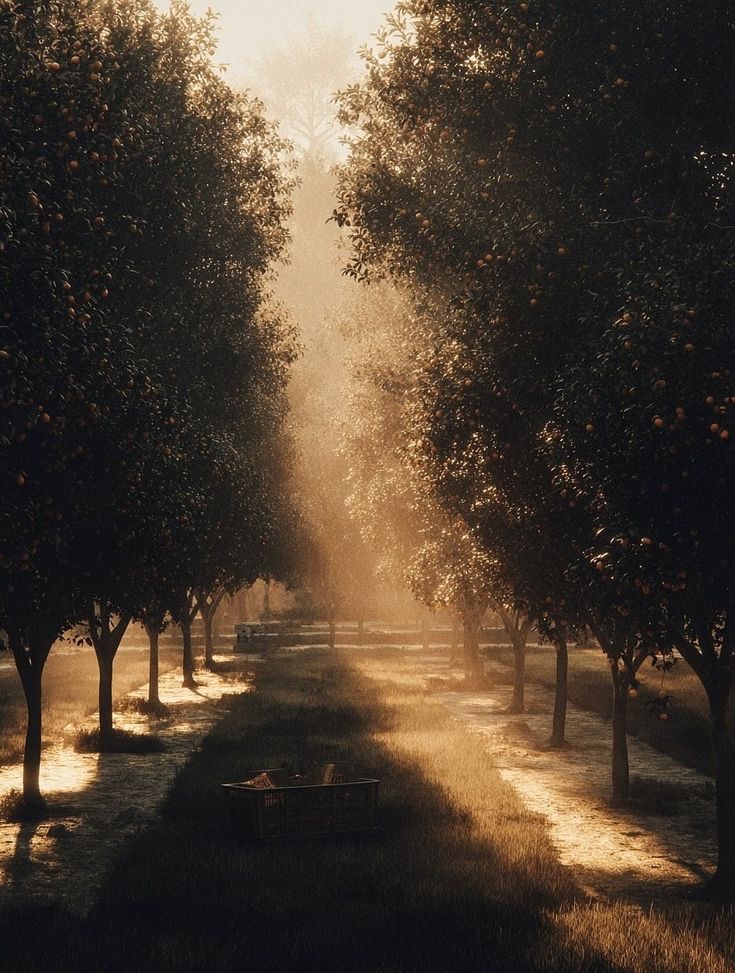 A path of golden light
