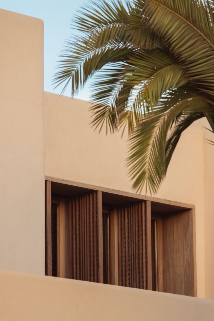 Palms and warm facades